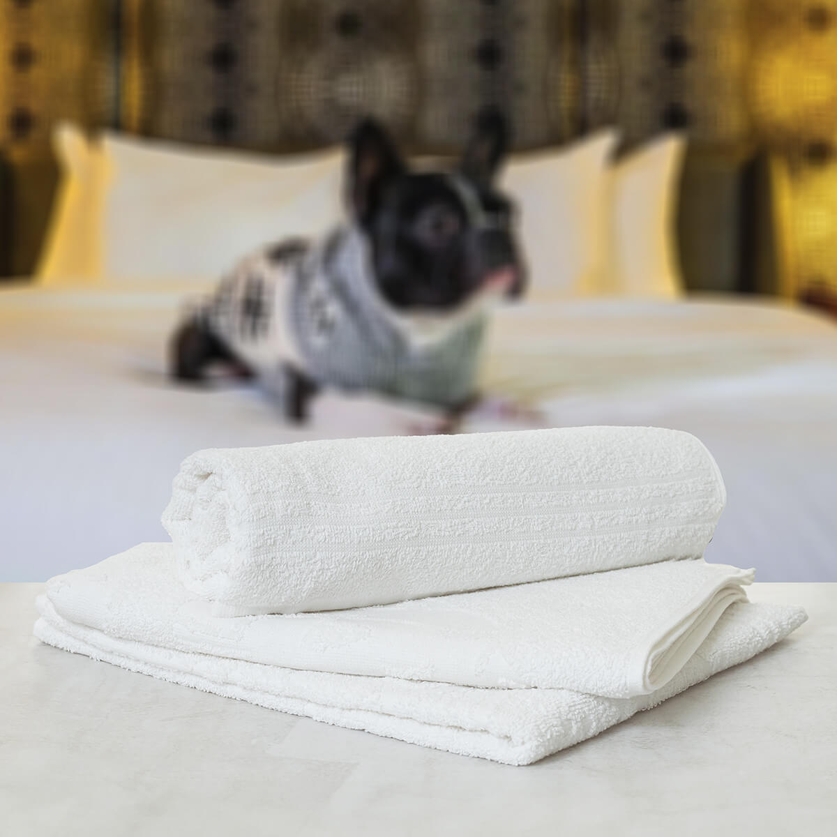 Toalha Pet Conamore - para caes e gatos - Toalha Petshop