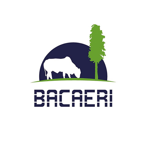 Bacaeri